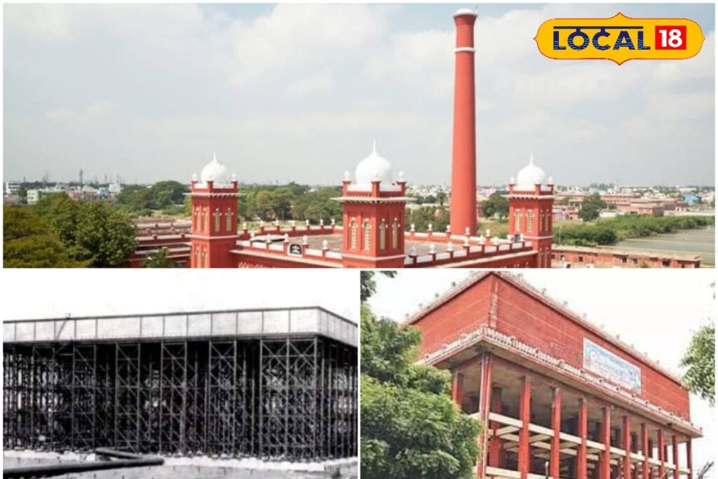 HYP_5748154_cropped_06022026_141046_inshot_20260206_141034200__1-3x2-1