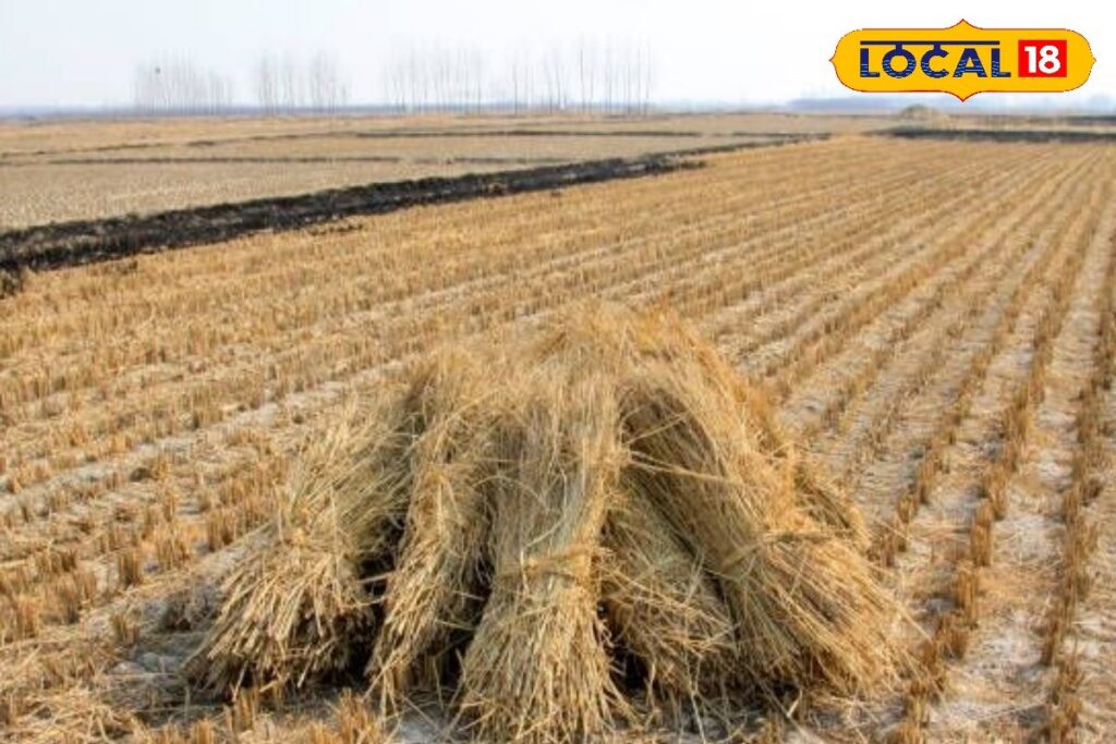 HYP_5752099_cropped_08022026_153659_image_search_1770544868273_2-3x2-1