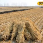 HYP_5752099_cropped_08022026_153659_image_search_1770544868273_2-3x2-1