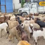 HYP_5752742_cropped_08022026_234423_4efc22c790bf9ab08cd50cb9ef_2-3x2-1