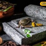 HYP_5752755_cropped_08022026_235723_7b95b63243e0065ba57158649c_2-3x2-1