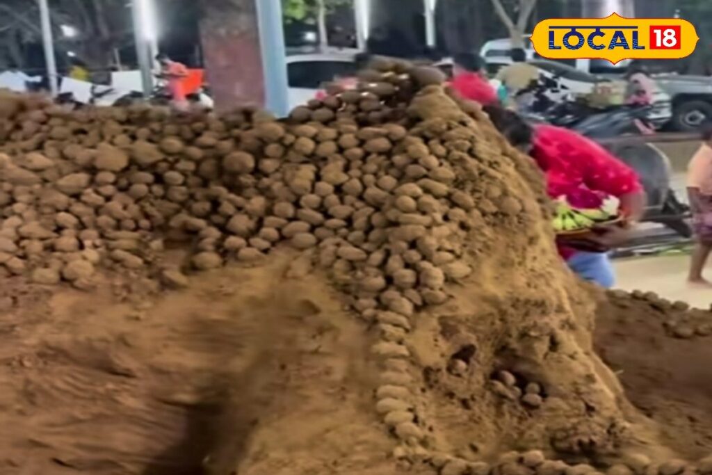 HYP_5752763_cropped_09022026_001044_picsart_260121_103037610_w_2-3x2-1