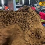 HYP_5752763_cropped_09022026_001044_picsart_260121_103037610_w_2-3x2-1