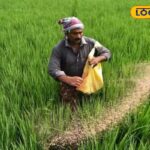 HYP_5753247_cropped_09022026_111227_116862128_watermark_090220_1-3x2-1