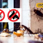 HYP_5754960_homeremediestocontrolfliesandcockroaches_6-3x2-1