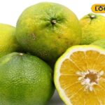 HYP_5754984_cropped_10022026_081216_image_search_1770688852156_1-3x2-1