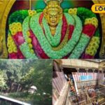 HYP_5755576_cropped_10022026_130057_inshot_20260210_130042521__2-3x2-1