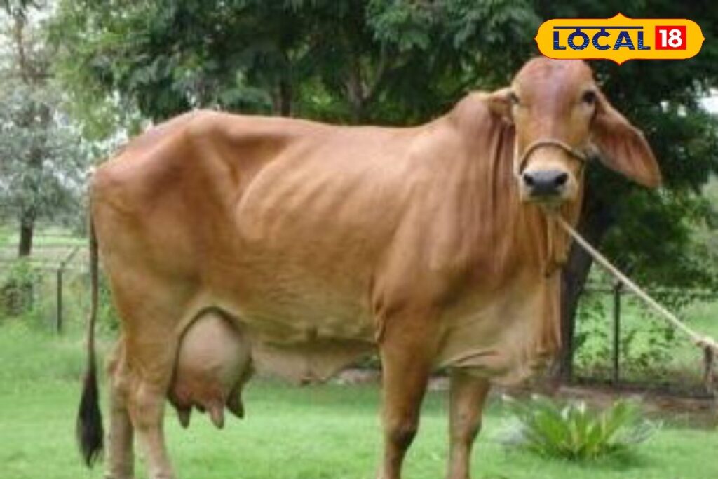 HYP_5756041_cropped_10022026_155303_images_86_watermark_100220_1-3x2-1