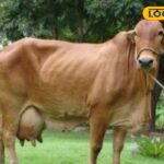 HYP_5756041_cropped_10022026_155303_images_86_watermark_100220_1-3x2-1