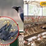 HYP_5757274_cropped_11022026_102316_1770785582823_watermark_11_2-3x2-1