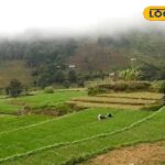 HYP_5757744_cropped_11022026_140042_videocapture_2026021112482_2-3x2-1