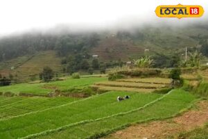 HYP_5757744_cropped_11022026_140042_videocapture_2026021112482_2-3x2-1