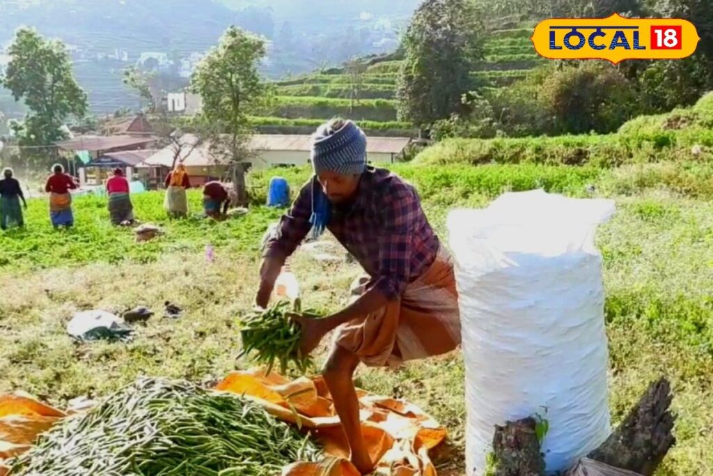 HYP_5757766_cropped_11022026_141141_videocapture_2026021111504_2-3x2-1