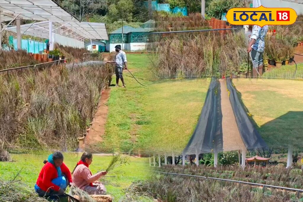 HYP_5758560_cropped_11022026_195449_inshot_20260211_195147219__2-3x2-1