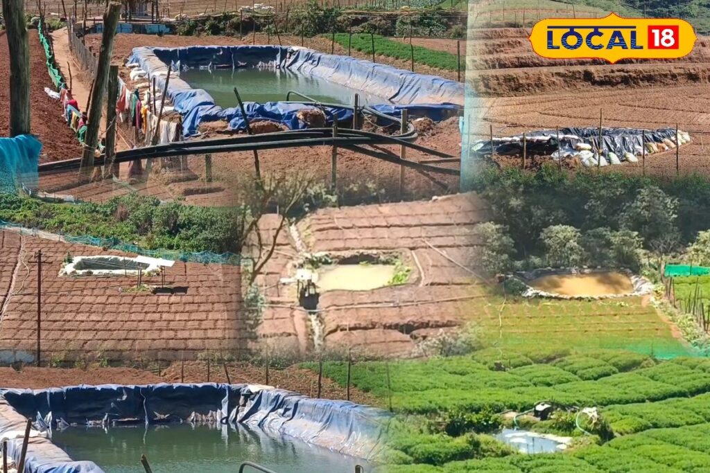 HYP_5760991_cropped_12022026_233919_inshot_20260212_233701281__2-3x2-1