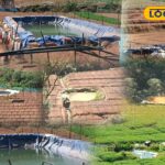 HYP_5760991_cropped_12022026_233919_inshot_20260212_233701281__2-3x2-1