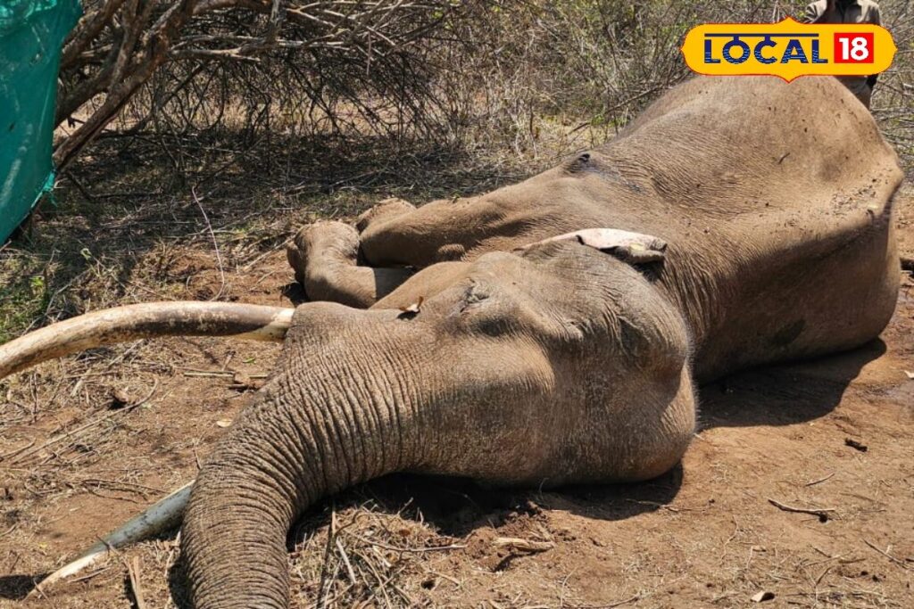 HYP_5762525_cropped_13022026_173919_img20260213wa0216_watermar_1-3x2-1