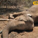 HYP_5762525_cropped_13022026_173919_img20260213wa0216_watermar_1-3x2-1