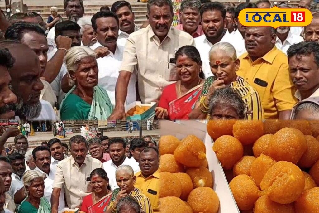 HYP_5763537_cropped_14022026_110412_inshot_20260214_110048025__2-3x2-1