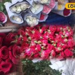 HYP_5763890_cropped_14022026_140656_inshot_20260214_140637416__2-3x2-1