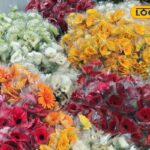 HYP_5764995_cropped_15022026_004443_videocapture_2026021500442_2-3x2-1