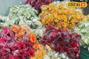 HYP_5764995_cropped_15022026_004443_videocapture_2026021500442_2-3x2-1