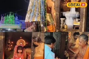 HYP_5767412_cropped_16022026_135709_incollage_20260216_1355300_2-3x2-1