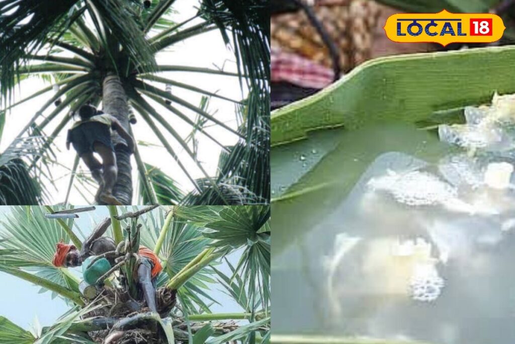 HYP_5768410_cropped_16022026_223256_inshot_20260216_223248044__1-3x2-1