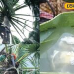 HYP_5768410_cropped_16022026_223256_inshot_20260216_223248044__1-3x2-1