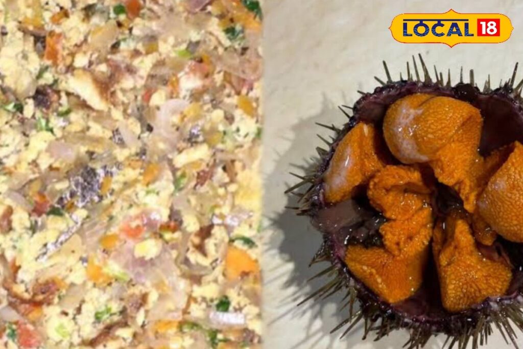 HYP_5768479_cropped_16022026_232649_inshot_20260216_232638124__1-3x2-1