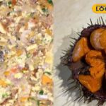 HYP_5768479_cropped_16022026_232649_inshot_20260216_232638124__1-3x2-1