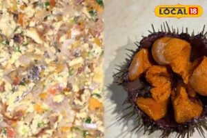 HYP_5768479_cropped_16022026_232649_inshot_20260216_232638124__1-3x2-1