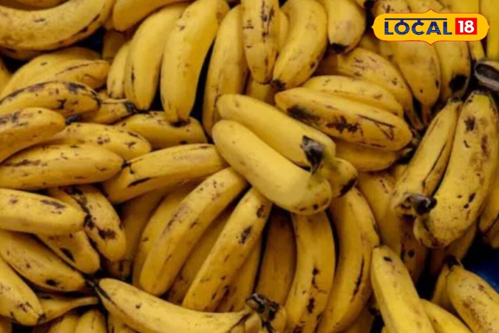 HYP_5768536_cropped_17022026_004357_9965a092cd88d5a6b1c39e34f1_1-3x2-1