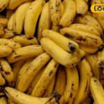 HYP_5768536_cropped_17022026_004357_9965a092cd88d5a6b1c39e34f1_1-3x2-1