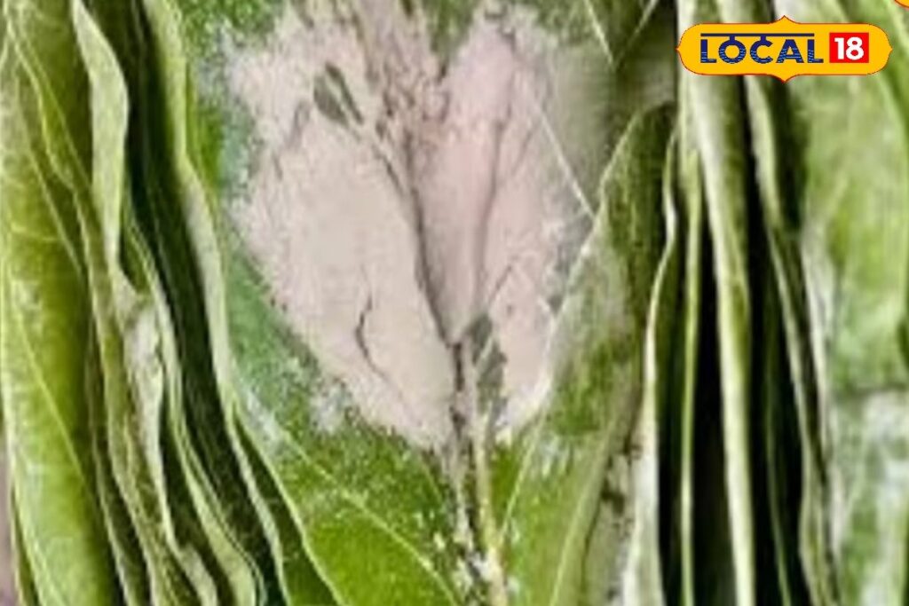 HYP_5768547_cropped_17022026_005745_069867c8a5905ece0a0bfca254_2-3x2-1