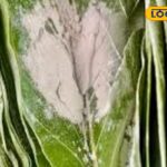 HYP_5768547_cropped_17022026_005745_069867c8a5905ece0a0bfca254_2-3x2-1