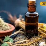 HYP_5768551_cropped_17022026_010325_01f922f40339f8e105e5b59aa7_2-3x2-1