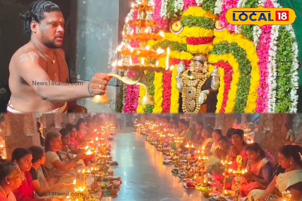 HYP_5769124_cropped_17022026_114056_inshot_20260217_114038703__1-3x2-1