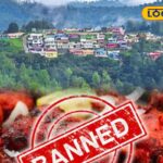 HYP_5769545_cropped_17022026_145444_inshot_20260217_145429519__1-3x2-1