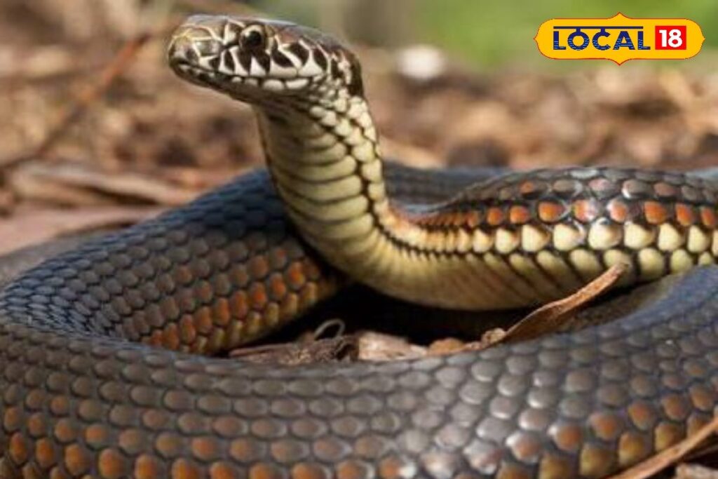 HYP_5770615_cropped_18022026_010517_images_66_watermark_180220_1-3x2-1