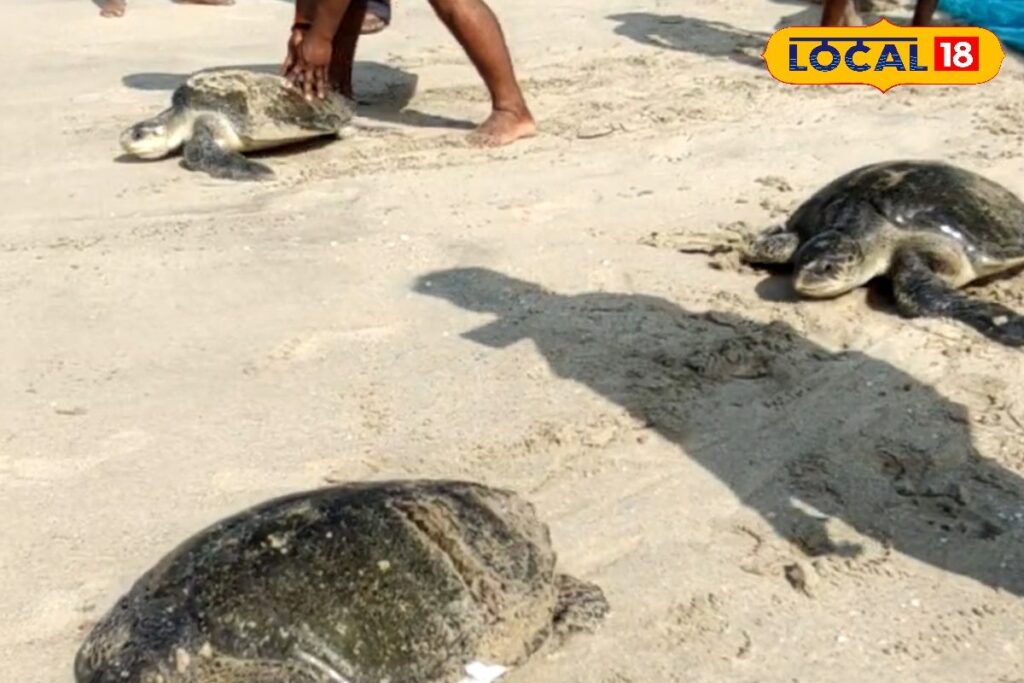 HYP_5772099_cropped_18022026_180742_kmc_20260218_180243_waterm_1-3x2-1