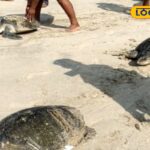 HYP_5772099_cropped_18022026_180742_kmc_20260218_180243_waterm_1-3x2-1