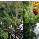 HYP_5772619_cropped_19022026_002026_inshot_20260219_002017288__2-3x2-1