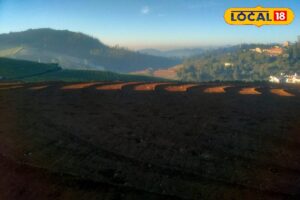 HYP_5773181_cropped_19022026_115111_fb_img_1771481936885_water_1-3x2-1