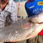 HYP_5774479_cropped_19022026_215356_kmc_20260219_205652_waterm_2-3x2-1