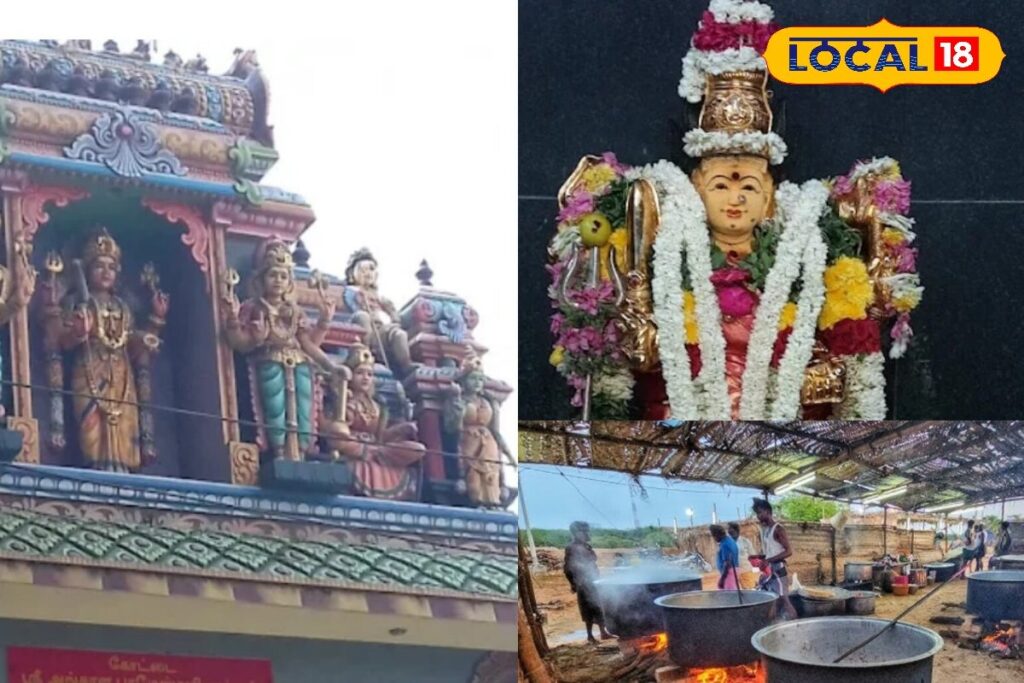 HYP_5775547_cropped_20022026_141744_inshot_20260220_141738032__1-3x2-1