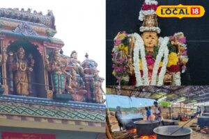 HYP_5775547_cropped_20022026_141744_inshot_20260220_141738032__1-3x2-1