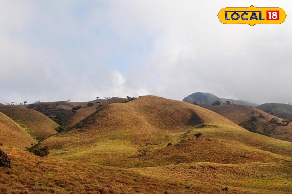 HYP_5775701_cropped_20022026_150321_owsomemukurithi_watermark__2-3x2-1