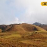 HYP_5775701_cropped_20022026_150321_owsomemukurithi_watermark__2-3x2-1