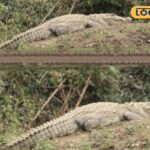 HYP_5775723_cropped_20022026_150940_img_20260220_150743_waterm_2-3x2-1